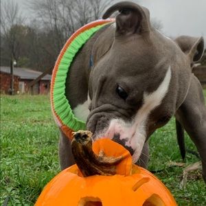 Meet your Posher, Lindsay